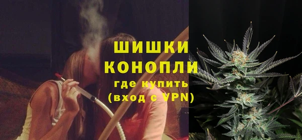 шишки Верея