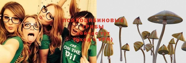 шишки Верея