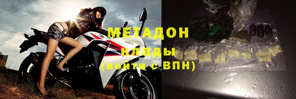 шишки Верея