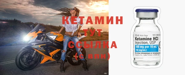 шишки Верея