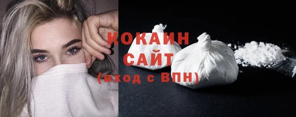 шишки Верея