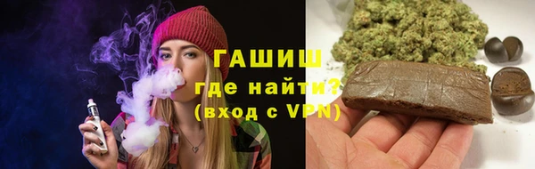 шишки Верея