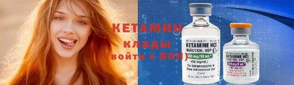 шишки Верея