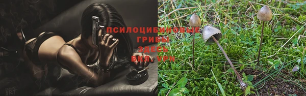 герыч Верхний Тагил