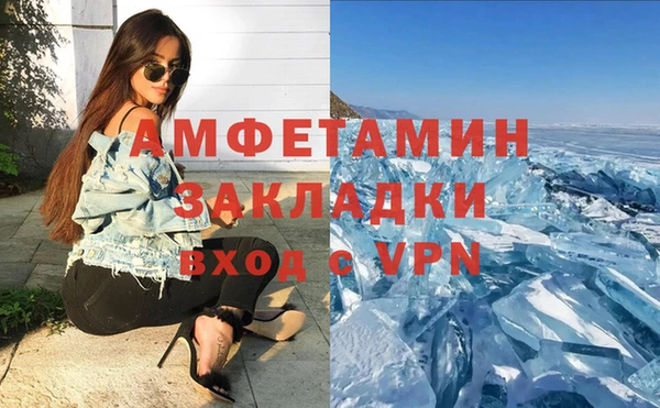 шишки Верея