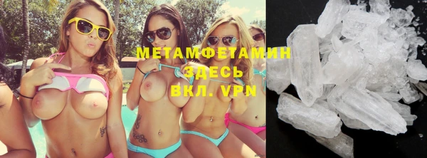 шишки Верея