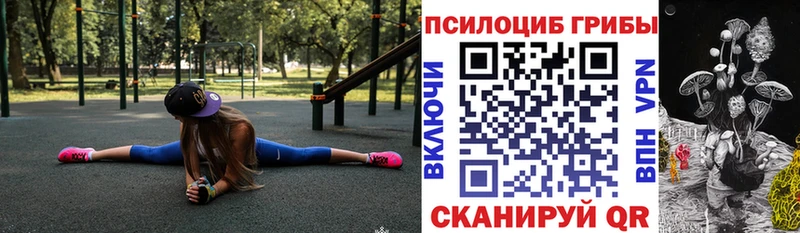 Псилоцибиновые грибы GOLDEN TEACHER  Купить закладки  Нестеров 
